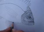 Fische_zeichnen